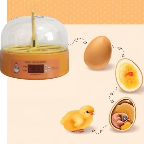 Mini 6 Egg Incubator Poultry Incubator Brooder Digital Temperature Control Egg Incubator Hatcher for Chicken Bird Egg