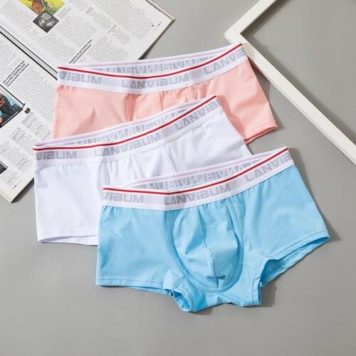 Boxer Mens Underwear Men Cotton Underpants Male Pure Gay Breathable Flexible Comfortable Panties Lovely Solid Boxer Shorts