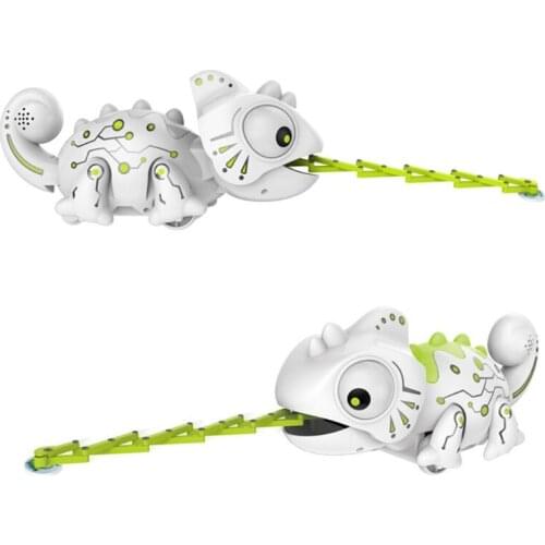 Lizard Changing Colors Interesting Toy Set Party Supplies Little Insect Catcher in The Wild Kids Adults Love Gift