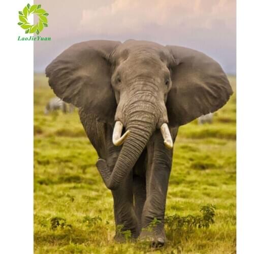 Full Square Diamond Painting Elephant 5D DIY Animal Diamond Embroidery Cross Stitch Kit Handmade Gift Home Decoration