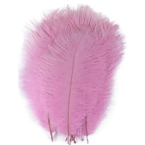 10pcs Wholesale Beautiful Natural Ostrich Feather 6-8inch /15-20cm Home Wedding Party Decorative Diy Plume Crafts