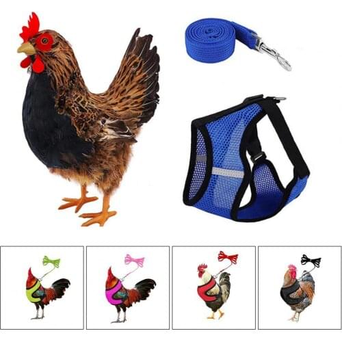 Adjustable 1 Set Wearable Poultry Soft Safety Harness Loose Poultry Harness Multi-use for Backyard