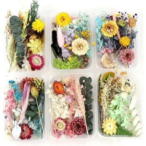 1 Box Real Dried Flower Dry Plants for Aromatherapy Candle Epoxy Resin Pendant Necklace Jewelry Making Craft DIY Accessories