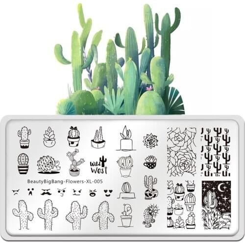 Beauty BigBang Stamping Plates Cactus Potted Plants Night Sky Stainless Steel Art Stencil Template Flower 005 Style