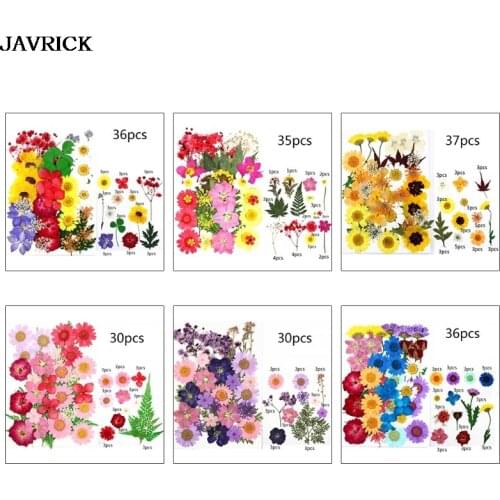 1 Pack Dried Flowers UV Resin Decorative Natural Flower Stickers 3D Dry Beauty Decal Epoxy Mold DIY Filling Craft Jewelry Making