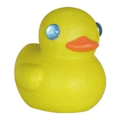 Dophin Aquarium Decor Duck