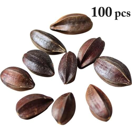 100Pcs Natural Dried Flower Fruit Plant Natural Multi-Purpose DIY Fruit Prop Photography Props Home Decor For Christmas
