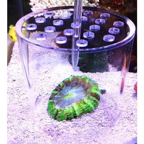 Coral feeding esophagus.Liquid suction tube.Coral feeder.Liquid additive.Sea water aquarium Feeding machine