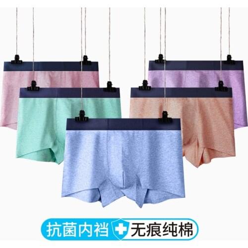 3pcs/Lot For Men Panties Ice Silk Mesh Men Plus Size Men Underwear comforty Shorts Mens Sexy Underpants