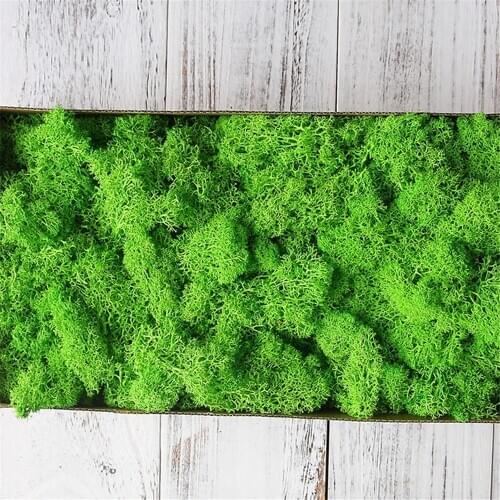 50g/Bag Artificial Green Plant Immortal Fake Flower Moss Grass Home Living Room Decorative Wall DIY Flower Grass Accessories