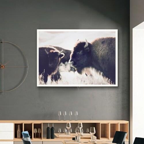 Highland Cow Print and Poster, Cattle Canvas Art Paintings for Living Room Decor Nordic canvas picture art prints wall decor