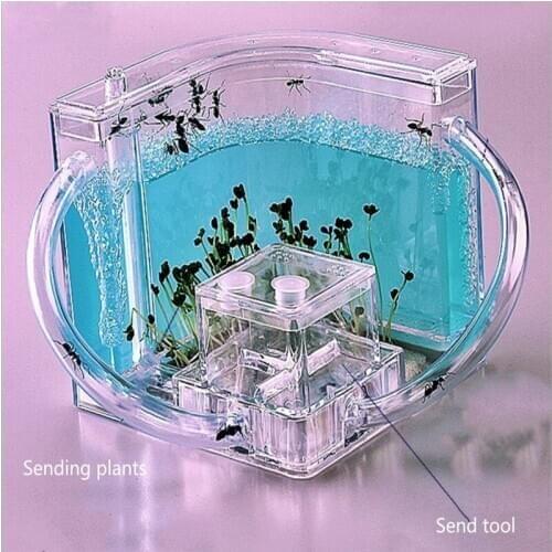 DIY Ant Workshop Ant Villa Workshop Home Castle Ant Farm Underground Children Educational Toys Children Science 21*11cm