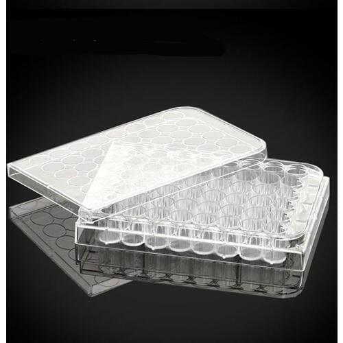 1pc 48 well Tissue culturetreated Cell Culture Plates TC Flat Bottom Lab supplies