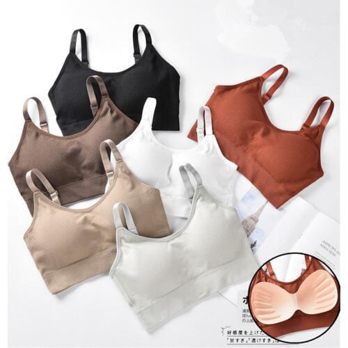 Push Up Solid Sports Bra Cotton Sports Bras Women Jogging Gym Women Sports Bra Girl Underwear Fitness Running Yoga Sport Tops