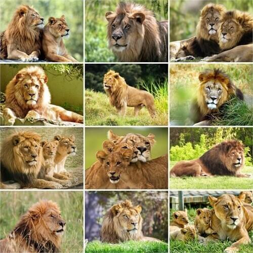 Evershine 5D DIY Diamond Painting Lion Diamond Embroidery Cross Stitch Animals Mosaic Rhinestone Pictures Crafts Kit