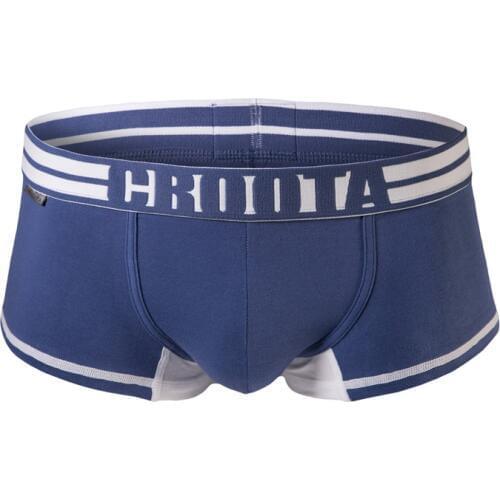 CRIIS SEVEN Men's Briefs
