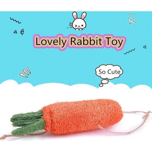 Rabbit Chew Toy Natural Grass Carrot For Bunny Hamster Guinea Pig Chinchilla Toy Tooth Cleaning Radish Molar Toys Pet Supplies