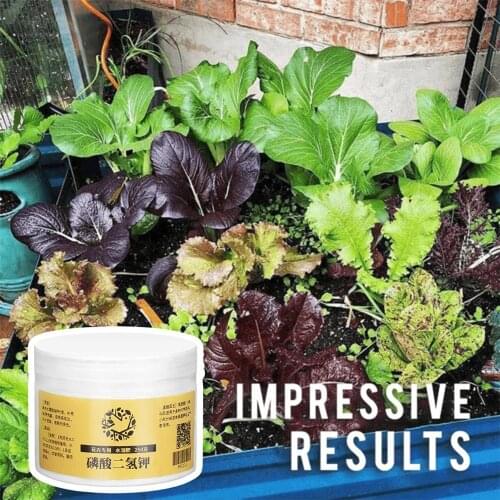 Rooting Powder Transplanting Plant Rapid Growth Root Rapid Growth Root Medicinal Hormone Regulators For Garden Bonsai Tool #g3