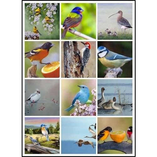 LIPHISFUN Needlework Diamond Painting 5D Embroidery Full Drill Home Decoration Square/round Animal Cute Bird