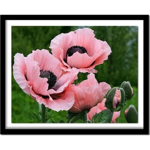 NEW 3D Diamond Painting Cross Stitch Pink Floral Crystal Needlework Diamond Embroidery Flower Full Diamond Decorative BJ510