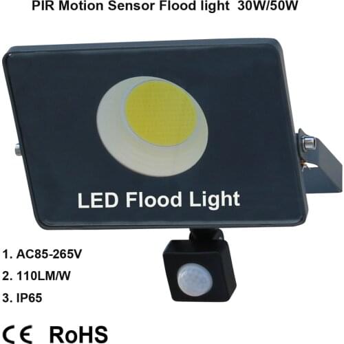 Led induction lamp 30W 50W 100W Flood light PIR motion sensor indoor and outdoor lighting decorative lighting home street garden