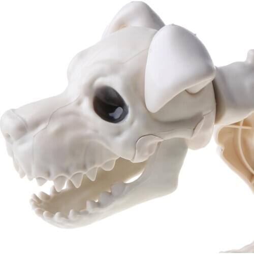 Halloween Themed Party Ornaments Scary Standing Skeleton Dog Horrific Scene Prop