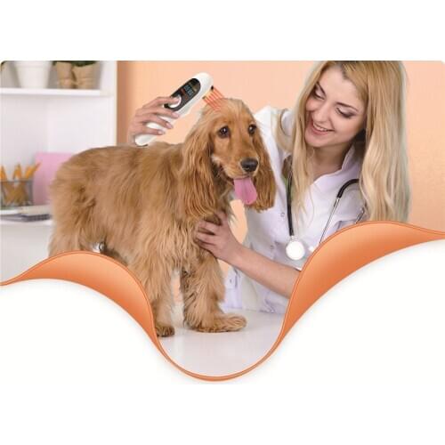 LASTEK medical cold veterinary laser therapy equipment for pain relief , wound healing ,sports injury