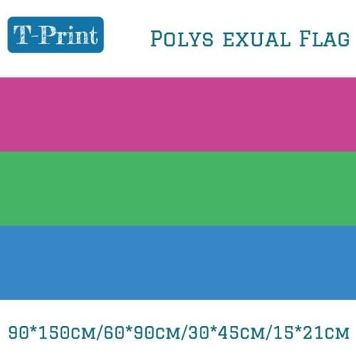 60*90cm 15*21cm Banner Flying 150*90cm Flag Polysexual Pride Flag For Party Bar LGBT