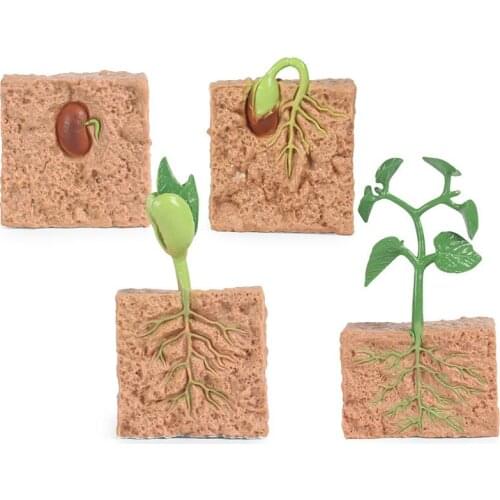 Simulation Seed Figure Collectible Toys Cognition Action Figures Kids Plastic Model Toys