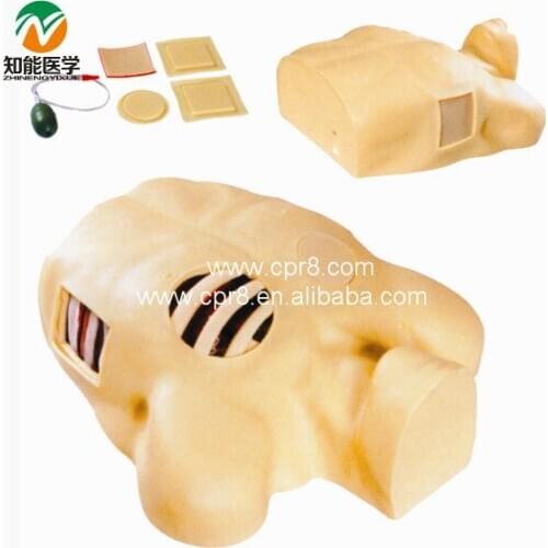 Pleural Puncture Drainage Simulator BIX-L66 MQ054