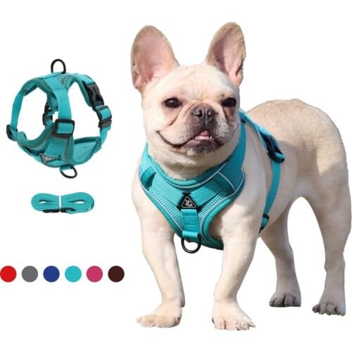 Dog Harness Vest Leash Set Adjustable Reflective Mesh Vest Small Medium Dogs Cats For French Bulldog Chihuahua Dog Accessories