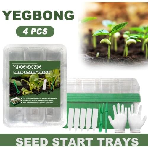 Our Cherish Grass Seeds