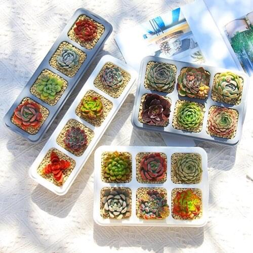 1 Set 4/6 Grid Succulents Planter Pots With Tray Square Plastic Solid Color Set Nursery Pot Cactus Plant Pot Garden Pot Desk Dec
