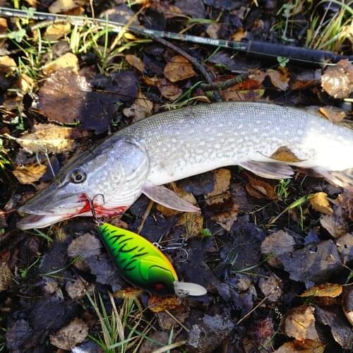 Banshee 58mm 9g Crankbait Fishing Lure Bass Mini Wobbler For Pike Crank Bait Fishing Float Artificial Baits Rattle Sound Lures