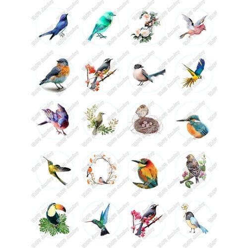 20pcs/lot 18mm 20mm 25mm Round Birds Photo Pattern Glass Cabochon for DIY Jewelry Making Findings & Components T033