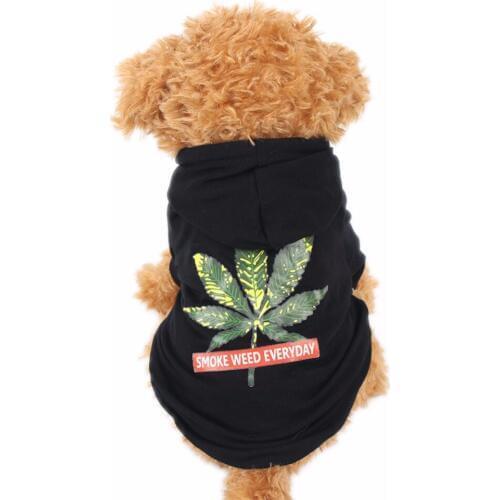 PipiFren Autumn Small Dogs Clothes Hoodies Cat Coat Yorkshire Hoodies For Dog T Shirts Pets Clothing manteau pour chien