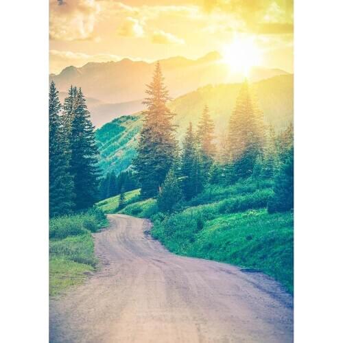 Mountains Grassland Trees Pathway Photo Backdrop Vinyl Background for Children Baby Portrait Scenery Photocall Photography Props