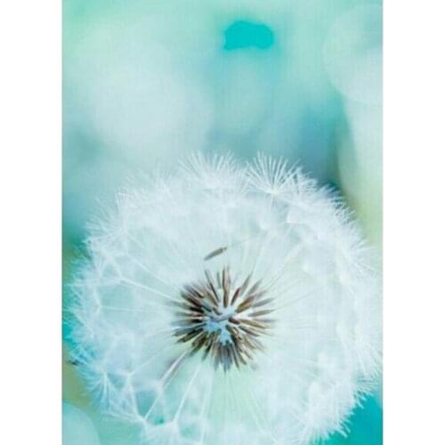 Diamond Painting Dandelion Flower 30x40 Square Drill Rhinestone Pasted Full Cross Stitch Diamond Embroidery Diy Craft Needlework