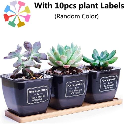 Succulent Pots 3 Pack Plastic Self- Watering Planters with Bamboo Tray Base Automatic-Watering Pot Perfect for Indoor