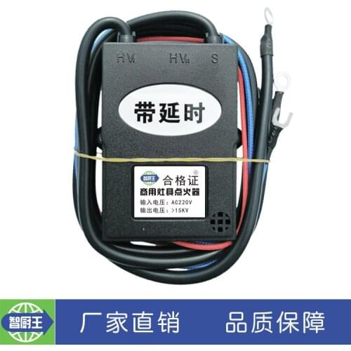 Commercial Stove 220v Pulse Igniter Natural Gas Liquefied Gas Igniter Electronic High Pressure Package