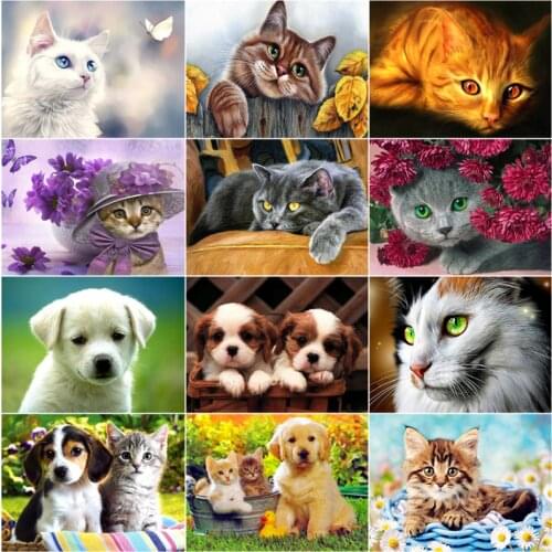 5D DIY Diamond Painting Full Round Cat Dog Picture Diamond Embroidery Mosaic Animals Pattern Cross Stitch Home Decoration Gift