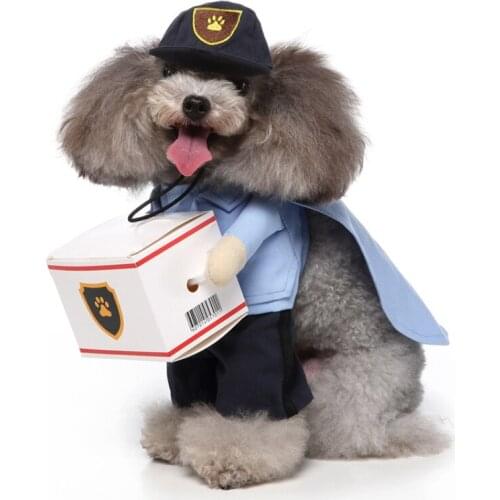 Halloween Pet Clothing Cat Dogs Costumes Dog Clothes for Dog Cosplay Women Jacket Dog Accessories Elf Christmas Decoration