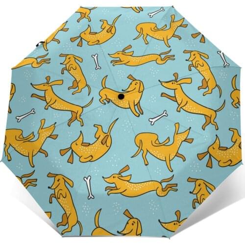 Funny Dachshunds Windproof Automatic Folding Inverted Umbrella Portable Paraguas for Man Woman