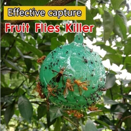 Sticky ball trap yellow-green fly trap ball trap to kill large fruit fly melon fruit fly fruit tree orchard sticky trap