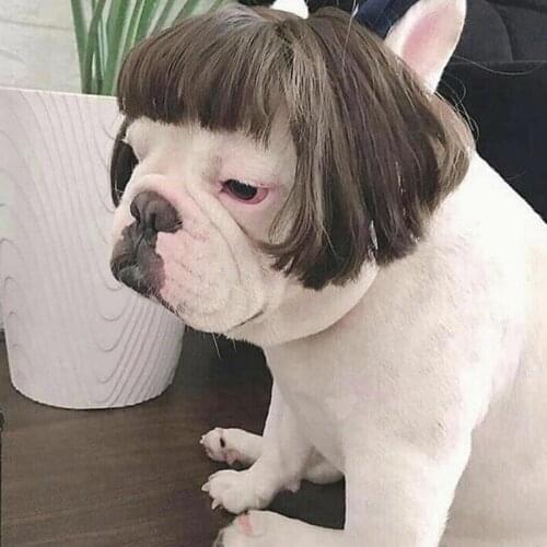 Fashion Pet Wigs Cat Dog Cospaly Props Wigs Tiara Hairpiece Makeover Clothing Pet Supplies for Christmas Halloween Cosplay