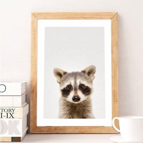 Nursery Animal Raccoon Canvas Prints Wall Art Picture , Woodland Animals Raccoon Photo Canvas Painting Poster Baby Room Decor