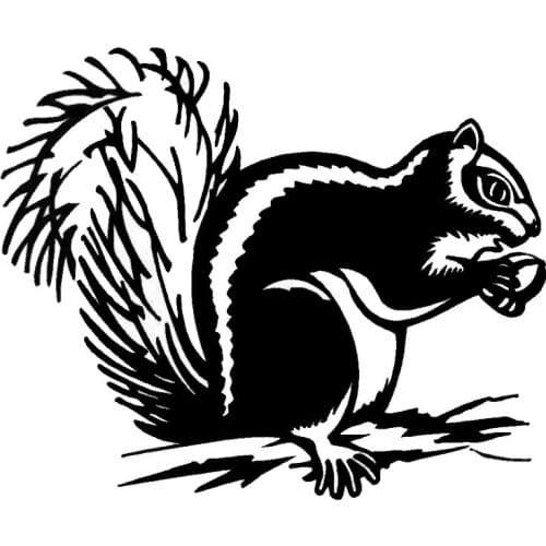 14*11.6CM Vivid Cute Squirrel Car Sticker Persoanlity Animal Car Styling Bumper Decal Black/Silver C9-2191