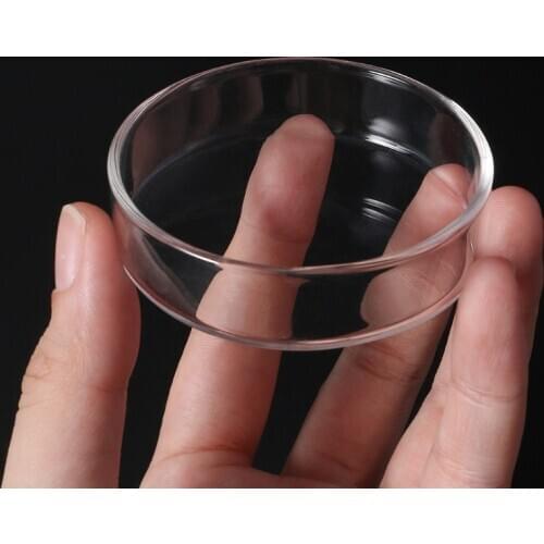 Clear Glass Shrimp Food Round Dishes Small Fish Feeding Bowl Ornamental Supplies alimentaire pour Aquarium