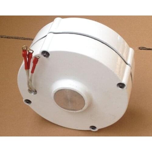 100W 200W 300W 400W permanent magnet synchronous generator 24V low speed high speed wind turbine vertical