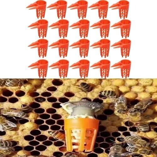 20 Pcs/Set Plastic Bee Queen Cap Protective Cell Cover Beekeeping Tools Beekeeper Equipment Cage Beekeeping Supplies